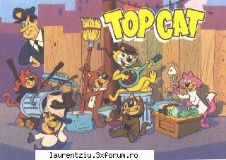 top cat complete series 30 in the alleys of new york, 