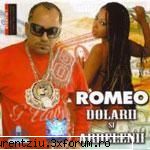 romeo dolarii ardelenii [album full] romeo fantastik traianu, tariceanu, romeo fantastik ginerele SEFU'