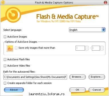 flash media capture 1.1.31 sr1 flash & media capture windows plugin software for ie. adds nice