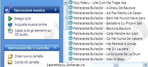 petrecerea burlacilor new SEFU'