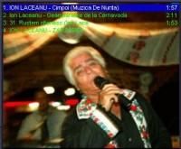 Ion Laceanu - doar atat am gasit - Muzica Populara
