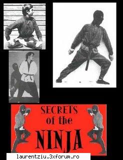 Secrets of a Ninja - laurentziu20 - International Books