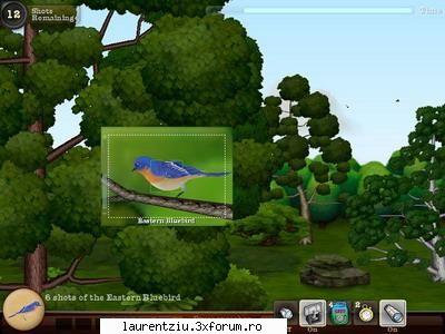 Snapshot Adventures - Take your best shot at bird photography in this - Games